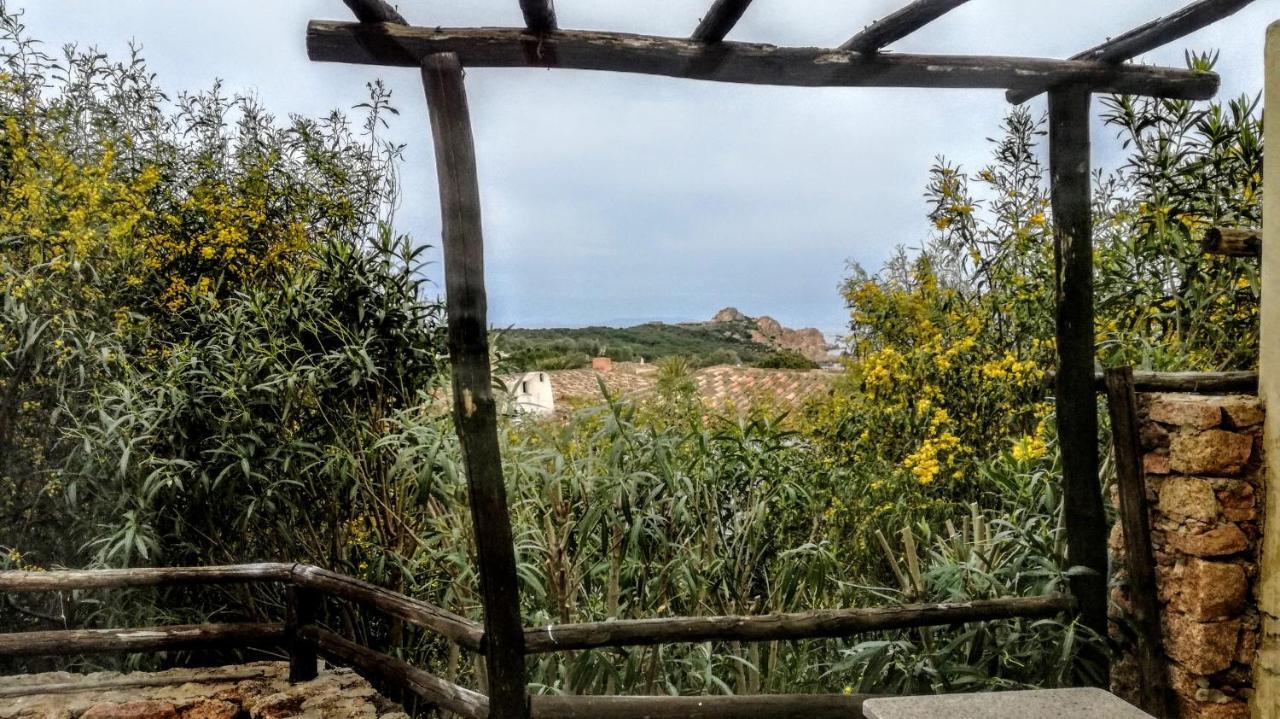 איזולה רוסה Bouganville Residence מראה חיצוני תמונה